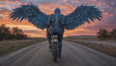 solo,1boy,male focus,outdoors,wings,sky,pants,cloud,from behind,tree,brown footwear,cloudy sky,grass,ground vehicle,nature,scenery,feathered wings,motor vehicle,1other,sunset,road,riding,motorcycle,twilight,bicycle,shoes,feathers,denim,jeans,statue,ambiguous gender