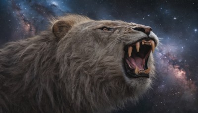 solo,open mouth,sky,teeth,orange eyes,no humans,night,animal,fangs,sharp teeth,star (sky),starry sky,realistic,space,animal focus,whiskers,tusks,lion,galaxy,milky way,tongue,night sky