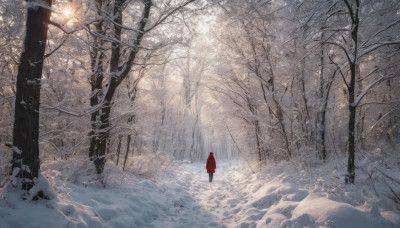 1girl, solo, standing, outdoors, from behind, cape, tree, nature, scenery, cloak, snow, forest, wide shot, winter, bare tree, red cloak