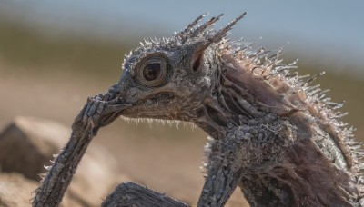 solo,outdoors,sky,teeth,day,blurry,no humans,blurry background,robot,sharp teeth,spikes,science fiction,monster,realistic,desert,kaijuu,open mouth,from side,depth of field,animal,dinosaur