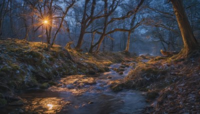 outdoors,sky,water,tree,no humans,night,leaf,moon,grass,nature,night sky,scenery,snow,forest,reflection,rock,autumn leaves,bare tree,river,star (sky),starry sky,light,landscape,stream