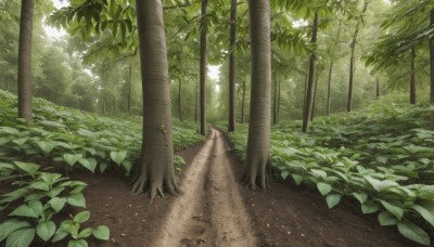 outdoors,day,tree,no humans,shadow,leaf,sunlight,grass,plant,nature,scenery,forest,road,bush,dappled sunlight,green theme,path