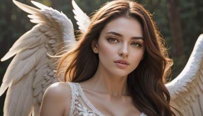 1girl,solo,long hair,breasts,looking at viewer,brown hair,cleavage,bare shoulders,brown eyes,jewelry,medium breasts,collarbone,upper body,earrings,parted lips,wings,teeth,blurry,lips,depth of field,blurry background,portrait,feathered wings,angel wings,realistic,nose,white wings,angel,dress,day,artist name,signature,white dress,sunlight,thick eyebrows,stud earrings,bokeh,thick lips