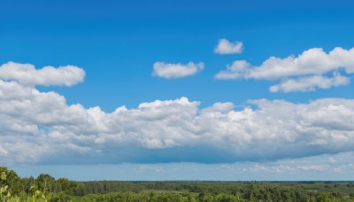 outdoors,sky,day,cloud,signature,tree,blue sky,no humans,cloudy sky,grass,nature,scenery,forest,horizon,field,summer,landscape,hill,cumulonimbus cloud,bird