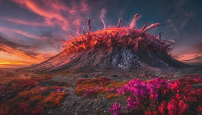 flower, outdoors, sky, cloud, tree, no humans, cloudy sky, scenery, sunset, mountain, field, landscape