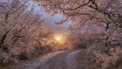 outdoors,sky,cloud,water,tree,no humans,sunlight,grass,cherry blossoms,nature,scenery,snow,forest,sunset,rock,mountain,sun,branch,road,bare tree,river,landscape,sunrise,day,blue sky,leaf,plant,autumn,path