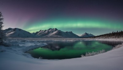 outdoors,sky,water,tree,no humans,night,star (sky),nature,night sky,scenery,snow,forest,starry sky,reflection,mountain,winter,river,landscape,mountainous horizon,lake,pine tree,aurora