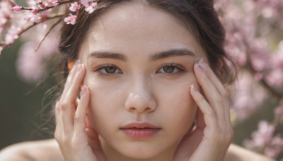 1girl, solo, looking at viewer, brown hair, brown eyes, closed mouth, blurry, lips, fingernails, depth of field, blurry background, cherry blossoms, portrait, realistic, nose, hands on own face, hands on own cheeks