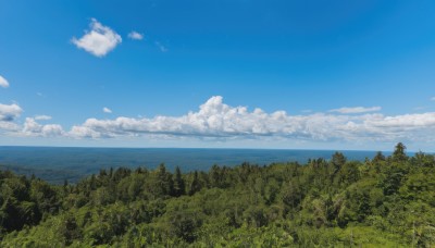 outdoors,sky,day,cloud,water,tree,blue sky,no humans,ocean,cloudy sky,grass,plant,nature,scenery,forest,horizon,summer,landscape