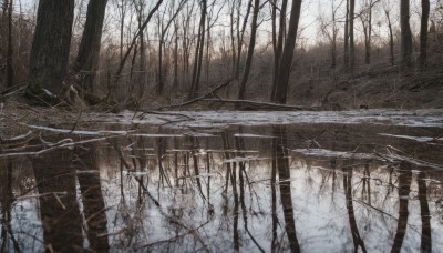 outdoors,tree,no humans,nature,scenery,snow,forest,ruins,winter,bridge,bare tree,fog,solo,day,water,reflection,river,landscape,lake,reflective water