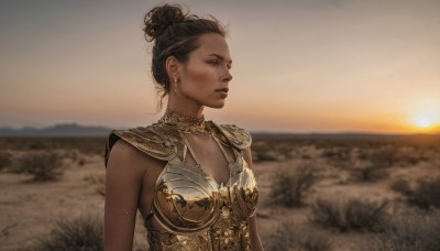 1girl,solo,breasts,short hair,brown hair,black hair,dress,jewelry,closed eyes,upper body,earrings,small breasts,outdoors,dark skin,necklace,hair bun,armor,mole,blurry,dark-skinned female,lips,blurry background,single hair bun,shoulder armor,freckles,pauldrons,sunset,breastplate,realistic,sky,looking to the side,looking away,backlighting,gold trim,sun,desert,gorget,gold armor,body freckles