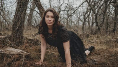 1girl,solo,long hair,looking at viewer,brown hair,dress,brown eyes,jewelry,short sleeves,outdoors,shoes,black footwear,black dress,bracelet,tree,lips,all fours,nature,forest,realistic,bare tree,grass