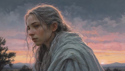 1girl,solo,long hair,looking at viewer,blue eyes,upper body,white hair,grey hair,outdoors,parted lips,sky,cloud,hood,from side,tree,lips,grey eyes,wavy hair,hood down,cloudy sky,portrait,freckles,sunset,robe,mountain,realistic,nose,closed mouth,messy hair,scenery,evening