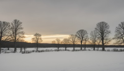 outdoors,sky,cloud,water,tree,no humans,grass,nature,scenery,snow,sunset,mountain,road,winter,bare tree,landscape,cloudy sky,horizon,fog,orange sky,grey sky,overcast