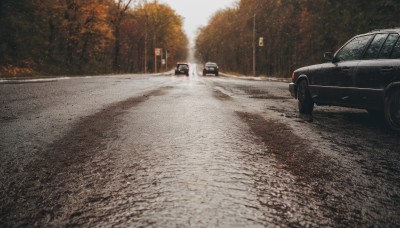 outdoors,tree,no humans,ground vehicle,nature,scenery,motor vehicle,forest,realistic,car,road,vehicle focus,lamppost,street,photo background,sky,day,sign,autumn leaves,autumn,sports car