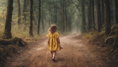 1girl,solo,long hair,brown hair,1boy,dress,standing,short sleeves,outdoors,shoes,socks,from behind,tree,grass,child,nature,scenery,forest,walking,rock,arms at sides,path,female child,facing away,road,yellow dress,wide shot