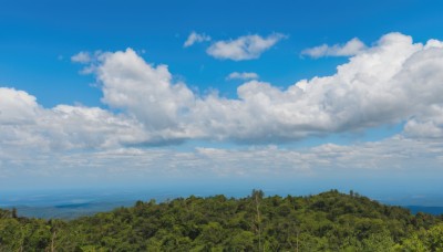 outdoors,sky,day,cloud,water,tree,blue sky,no humans,ocean,cloudy sky,grass,plant,nature,scenery,forest,horizon,summer,landscape