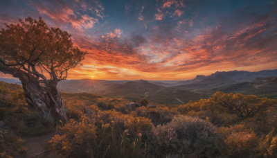 outdoors, sky, cloud, tree, no humans, cloudy sky, grass, nature, scenery, sunset, mountain, field, landscape