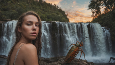 1girl, solo, long hair, brown hair, outdoors, sky, looking back, cloud, water, tree, lips, bug, nature, realistic, waterfall