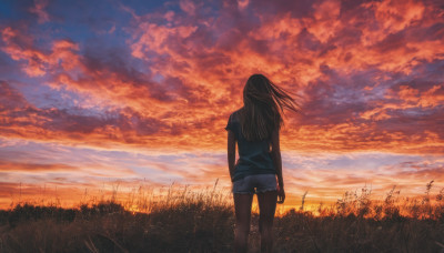 1girl, solo, long hair, brown hair, shirt, standing, short sleeves, outdoors, sky, shorts, cloud, from behind, short shorts, cloudy sky, grass, scenery, sunset, white shorts, facing away, field, power lines