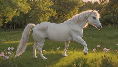 solo,standing,full body,flower,outdoors,day,from side,tree,no humans,animal,grass,nature,scenery,pink flower,forest,realistic,animal focus,horse,unicorn,signature,white flower,bush