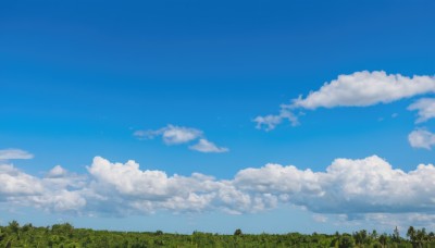 outdoors,sky,day,cloud,tree,blue sky,no humans,cloudy sky,grass,nature,scenery,forest