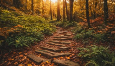 outdoors,day,tree,no humans,leaf,sunlight,grass,plant,nature,scenery,forest,light rays,stairs,road,autumn leaves,autumn,orange theme,path,sunset