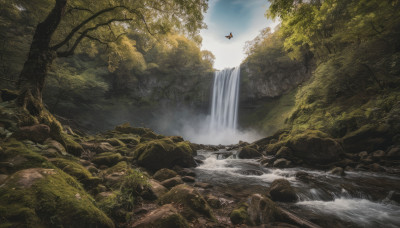 outdoors, sky, day, cloud, water, tree, no humans, bird, nature, scenery, forest, rock, river, waterfall