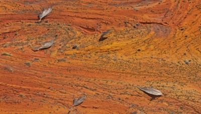 outdoors,no humans,bird,leaf,from above,traditional media,nature,scenery,road,autumn leaves,autumn,orange theme,rock,sand,orange background,desert,footprints