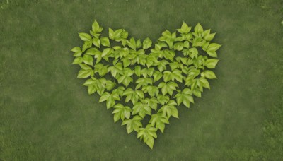 outdoors,day,no humans,leaf,grass,plant,nature,scenery,green theme,monochrome,from above,green background