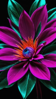 solo,simple background,blue hair,flower,no humans,leaf,plant,black background,pink flower,purple flower,colorful,still life,artist name,signature,glowing,red flower,light particles,blue flower,realistic,morning glory