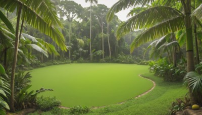 outdoors,food,day,tree,no humans,fruit,leaf,beach,sunlight,grass,plant,nature,scenery,forest,sand,palm tree,shade,green theme,sky,road,bush,landscape,path