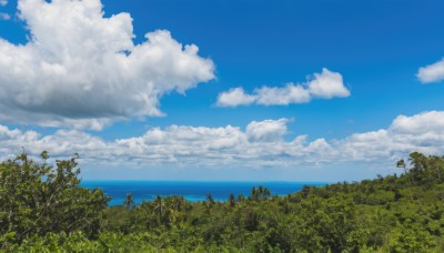 outdoors,sky,day,cloud,water,tree,blue sky,no humans,ocean,cloudy sky,plant,nature,scenery,forest,horizon,summer,landscape,grass