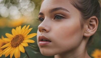 1girl,solo,open mouth,blue eyes,brown hair,flower,parted lips,teeth,blurry,lips,grey eyes,eyelashes,depth of field,blurry background,portrait,close-up,realistic,yellow flower,nose,sunflower,dandelion,black hair,green eyes,male focus