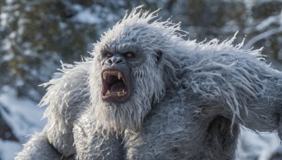 solo,open mouth,red eyes,1boy,upper body,male focus,outdoors,teeth,tongue,blurry,no humans,blurry background,fangs,sharp teeth,snow,colored sclera,monster,realistic,signature,tree,snowing,tusks