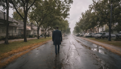 solo, 1boy, jacket, male focus, outdoors, sky, pants, cloud, from behind, tree, black pants, ground vehicle, building, scenery, motor vehicle, walking, car, road, house, power lines, street