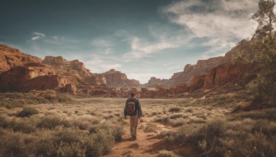 solo,short hair,brown hair,long sleeves,1boy,standing,jacket,male focus,outdoors,sky,day,pants,cloud,bag,from behind,tree,blue sky,backpack,cloudy sky,grass,nature,scenery,walking,mountain,facing away,brown pants,wide shot,1girl,signature,rock,landscape,desert