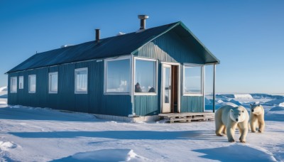 outdoors,sky,day,blue sky,no humans,window,shadow,animal,building,scenery,snow,dog,door,house,footprints,cloud,winter,bear,polar bear