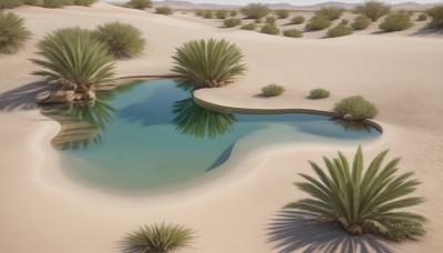 outdoors,day,water,tree,no humans,shadow,ocean,beach,plant,nature,scenery,sand,palm tree,boat,shore,desert,leaf,from above,grass,reflection,island