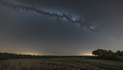 outdoors,sky,cloud,tree,no humans,night,grass,star (sky),nature,night sky,scenery,forest,starry sky,sunset,horizon,field,landscape,gradient sky