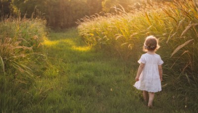 1girl,solo,short hair,brown hair,black hair,dress,standing,ahoge,short sleeves,outdoors,from behind,white dress,tree,sunlight,grass,plant,child,nature,scenery,forest,walking,arms at sides,facing away,field,day,blurry,female child,wide shot