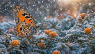 outdoors, wings, blurry, tree, no humans, depth of field, blurry background, bug, scenery, snow, snowing, winter, butterfly wings