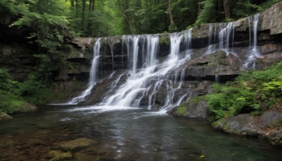 outdoors,day,water,tree,no humans,plant,nature,scenery,forest,rock,river,waterfall,moss,overgrown,stream,grass,bush