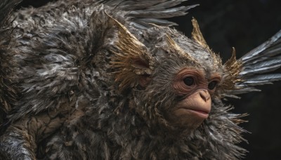 solo,simple background,1boy,closed mouth,upper body,male focus,wings,black eyes,no humans,mask,feathers,black background,head wings,portrait,realistic,helmet