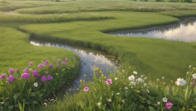 flower,outdoors,sky,day,water,no humans,grass,white flower,nature,scenery,pink flower,reflection,yellow flower,purple flower,field,river,landscape,lake,cloud,blue sky,leaf,plant,flower field,reflective water