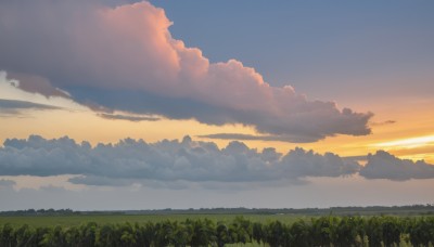 outdoors,sky,day,cloud,tree,blue sky,no humans,cloudy sky,grass,nature,scenery,forest,sunset,horizon,evening,landscape,gradient sky,orange sky,field