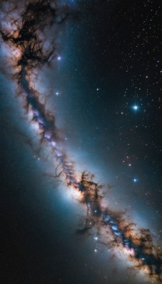 outdoors,sky,cloud,star (symbol),tree,no humans,night,star (sky),night sky,scenery,starry sky,branch,galaxy,milky way,bare tree