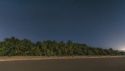 outdoors,sky,tree,no humans,night,beach,plant,star (sky),nature,night sky,scenery,starry sky,sunset,sand,palm tree,horizon,blue sky,ocean,forest,road,gradient sky