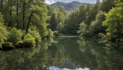 outdoors,sky,day,cloud,water,tree,no humans,sunlight,nature,scenery,forest,reflection,mountain,river,landscape,lake,reflective water,signature,blue sky,cloudy sky,grass