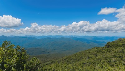 outdoors,sky,day,cloud,tree,blue sky,no humans,bird,cloudy sky,grass,nature,scenery,forest,mountain,field,landscape,mountainous horizon,hill,ocean,horizon